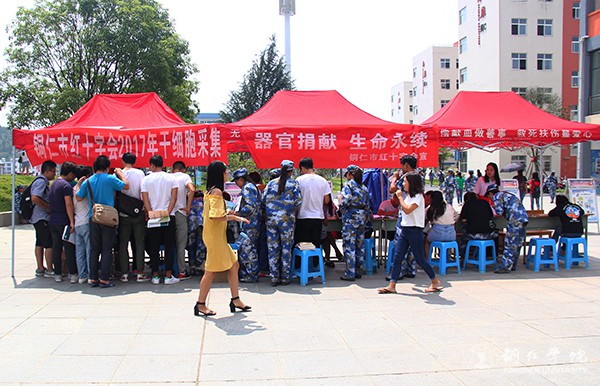 干细胞采集点.jpg