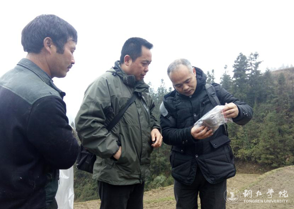 Beat365官网高健强副教授研究成果“燕飞1号”土人参实现规模化生产